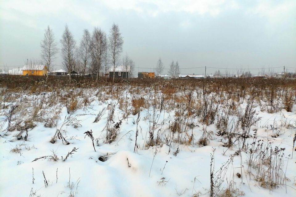 земля городской округ Раменский д. Прудки фото 8