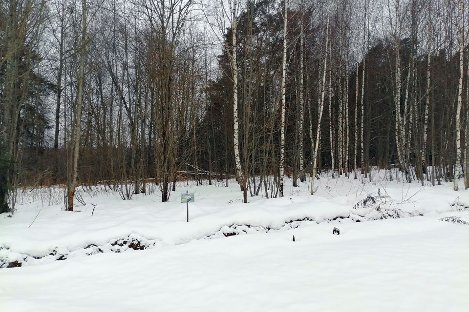 земля городской округ Дмитровский Домик в Лесу, 127 фото 6