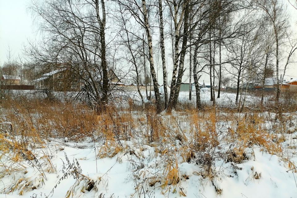 земля городской округ Раменский д. Прудки фото 10