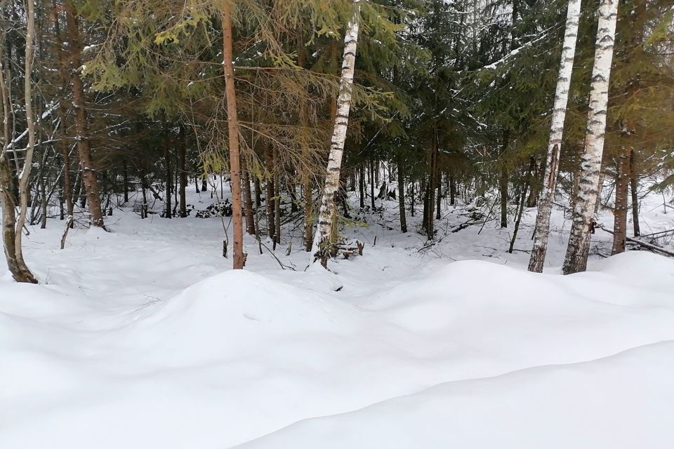 земля городской округ Дмитровский Медведки фото 9