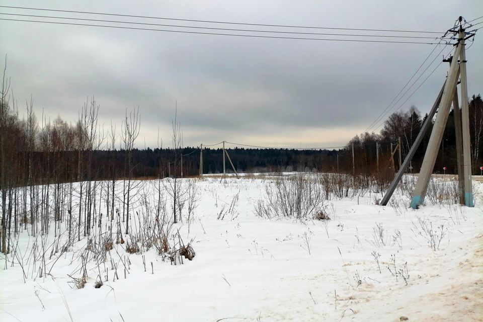 земля городской округ Сергиево-Посадский с Бужаниново ул Полевая 8/4 фото 7