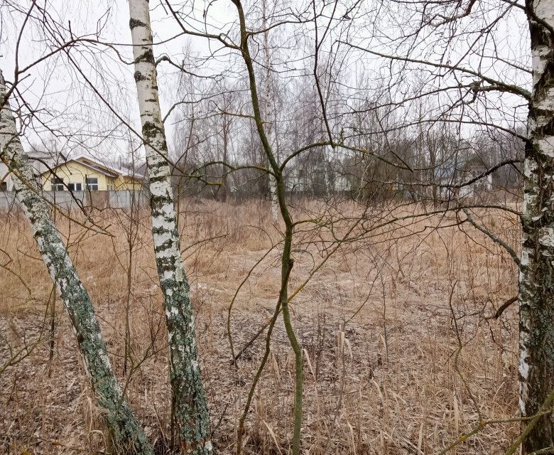 земля городской округ Воскресенск д Никольское ул Сургутская 25а фото 5