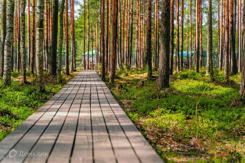 земля р-н Всеволожский Коркинский ручей фото 10