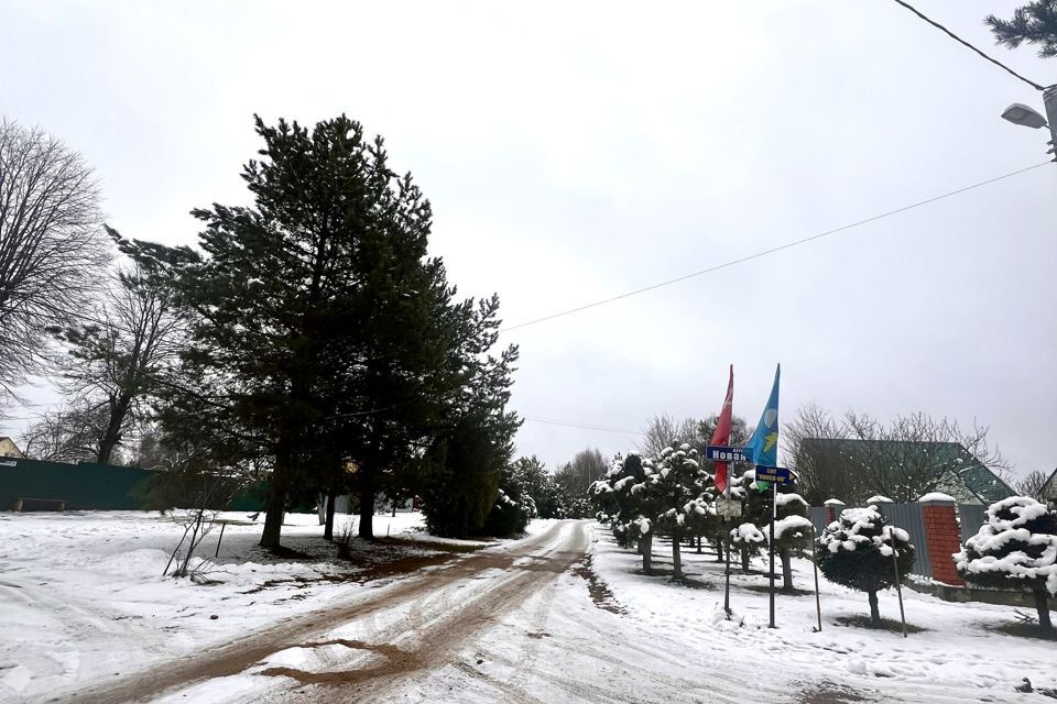 земля городской округ Наро-Фоминский д. Новая фото 5