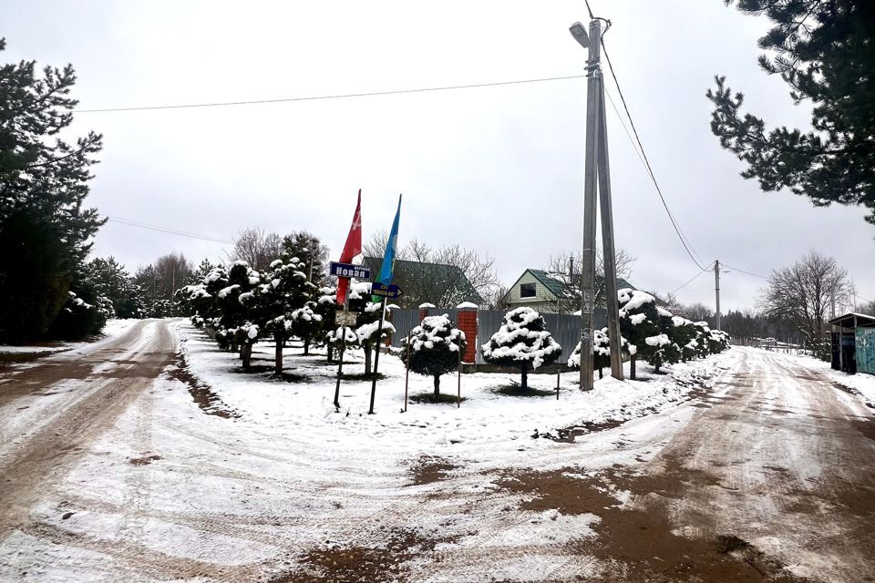 земля городской округ Наро-Фоминский д. Новая фото 6