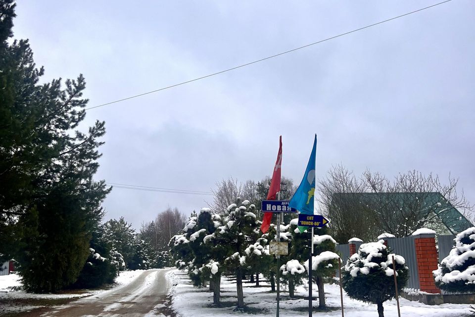 земля городской округ Наро-Фоминский д. Новая фото 7