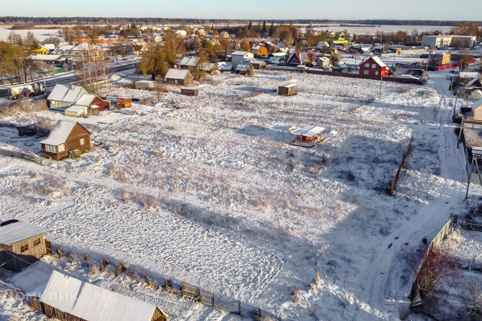 земля р-н Волосовский д Бегуницы Молодёжная улица фото 6