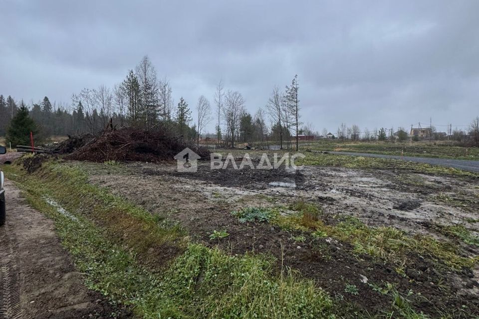 земля р-н Всеволожский фото 7