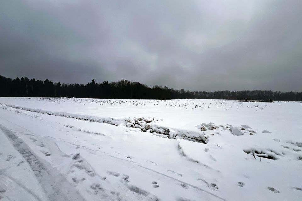 земля г Москва ул Снежная 21 дп. Ашукино, Московская область, Пушкинский городской округ фото 8