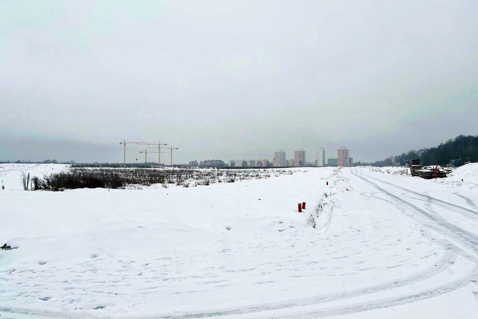 земля городской округ Пушкинский с Братовщина ул 1-я Станционная 17а фото 7