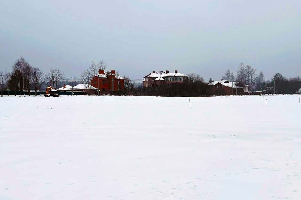 земля городской округ Пушкинский д Василёво 81 фото 5