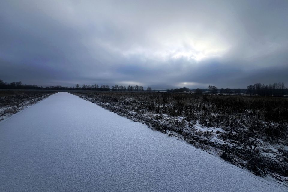 земля г Домодедово снт Кузьминки-2 185, Домодедово городской округ фото 6