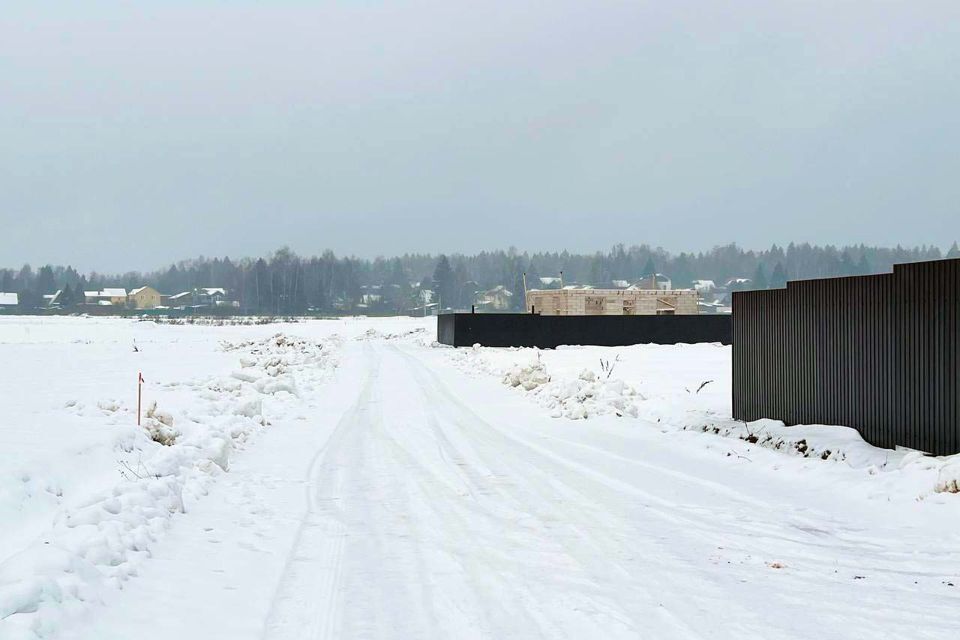 земля городской округ Пушкинский д Василёво 81 фото 6