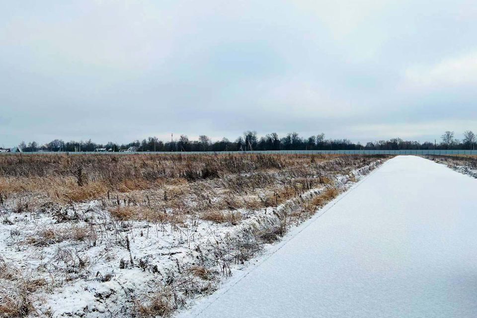 земля городской округ Волоколамский с Кузьминское 7/1, Домодедово городской округ фото 5