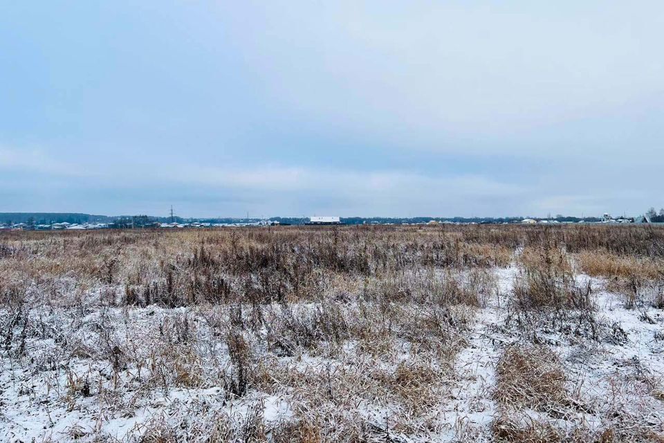 земля городской округ Волоколамский с Кузьминское 7/1, Домодедово городской округ фото 7