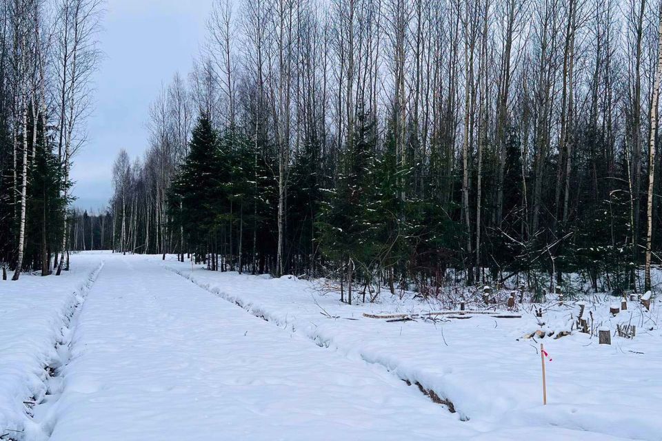 земля городской округ Дмитровский д Медведково 39 фото 7