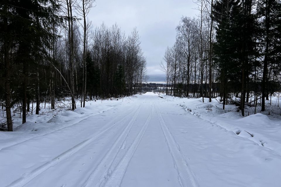 земля городской округ Дмитровский фото 8