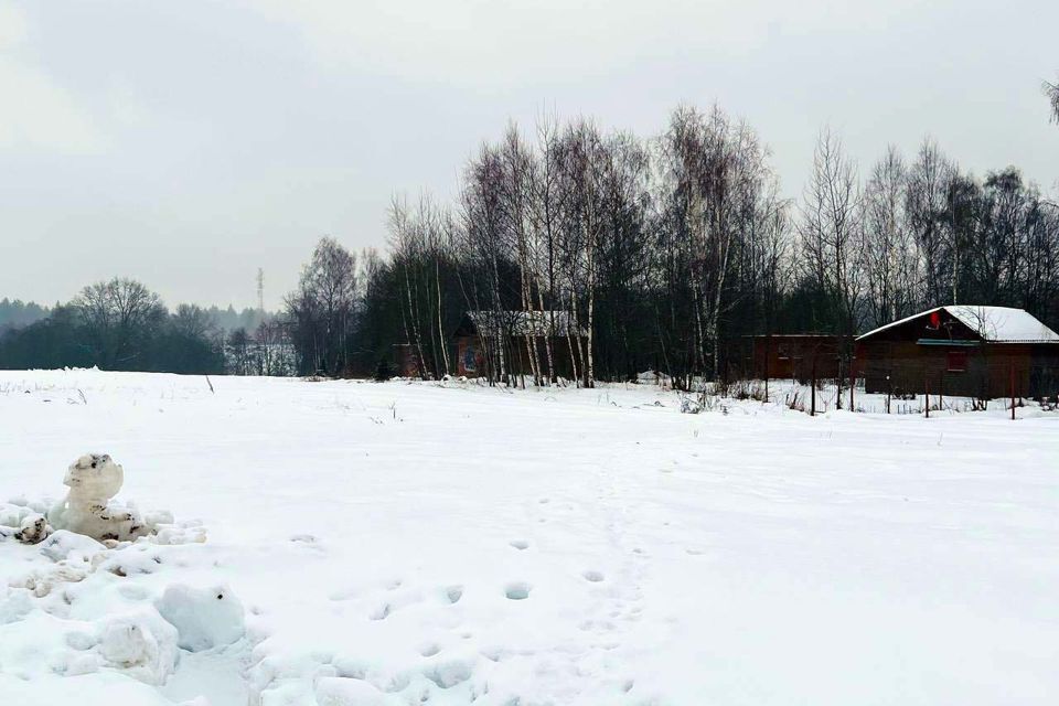 земля городской округ Пушкинский д Василёво 81 фото 8