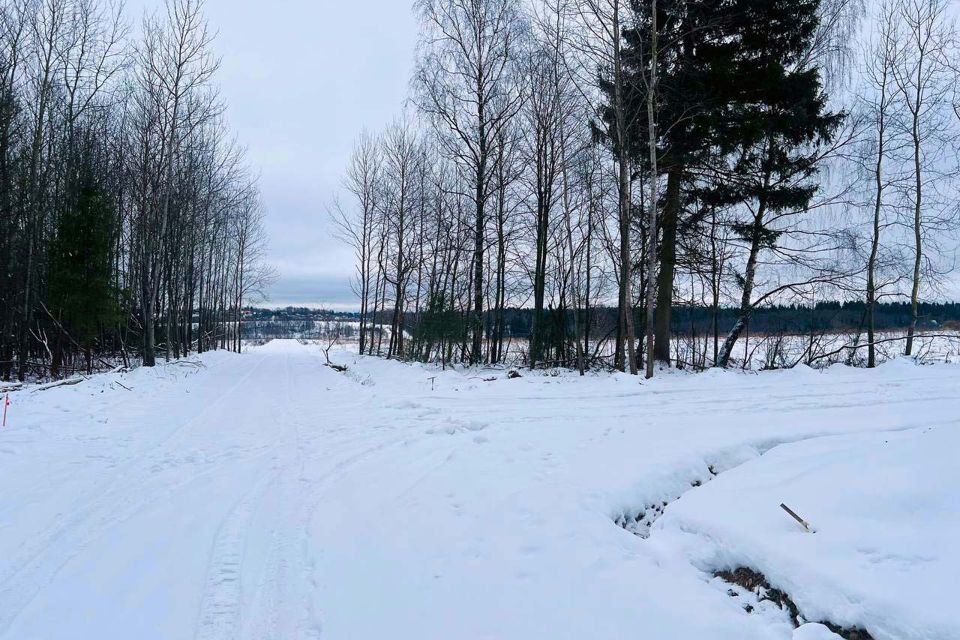 земля городской округ Дмитровский д Медведково 39 фото 8