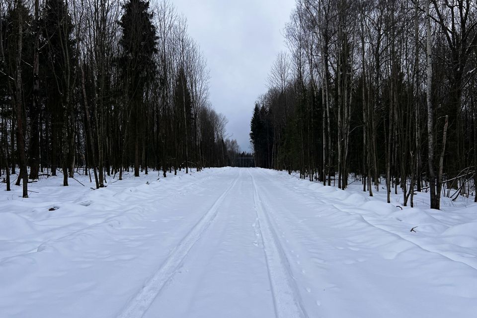 земля городской округ Дмитровский фото 9