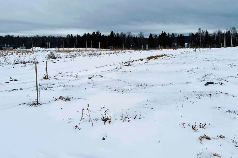 земля городской округ Истра д. Карцево фото 10