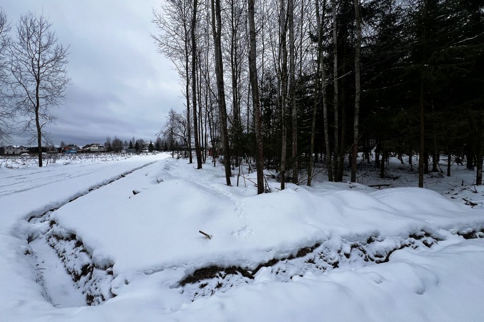 земля городской округ Дмитровский фото 10