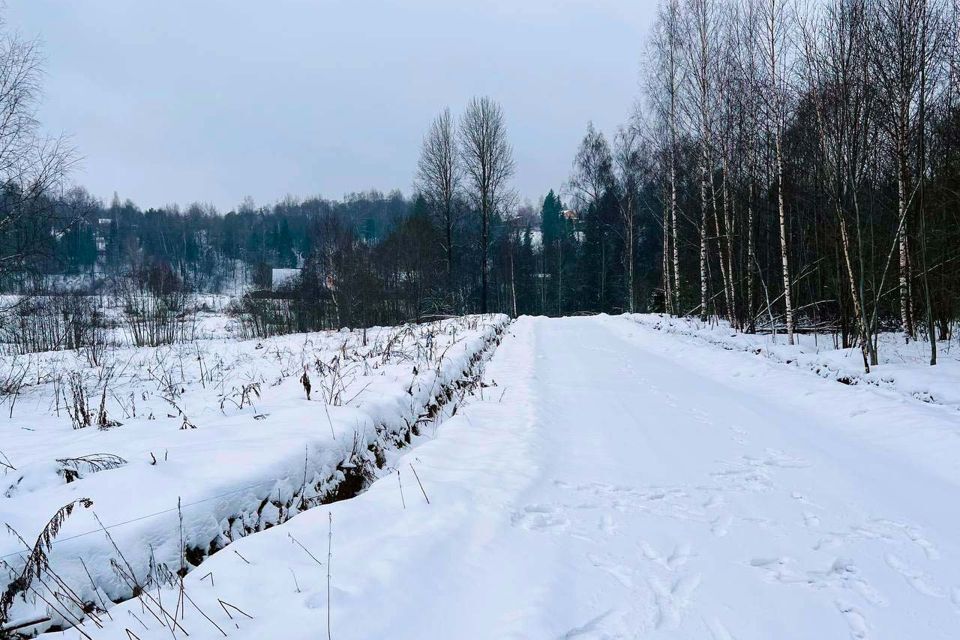 земля городской округ Дмитровский д. Ваньково фото 6