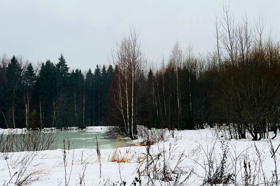 земля городской округ Сергиево-Посадский х Шубино снт Природа 14 фото 5