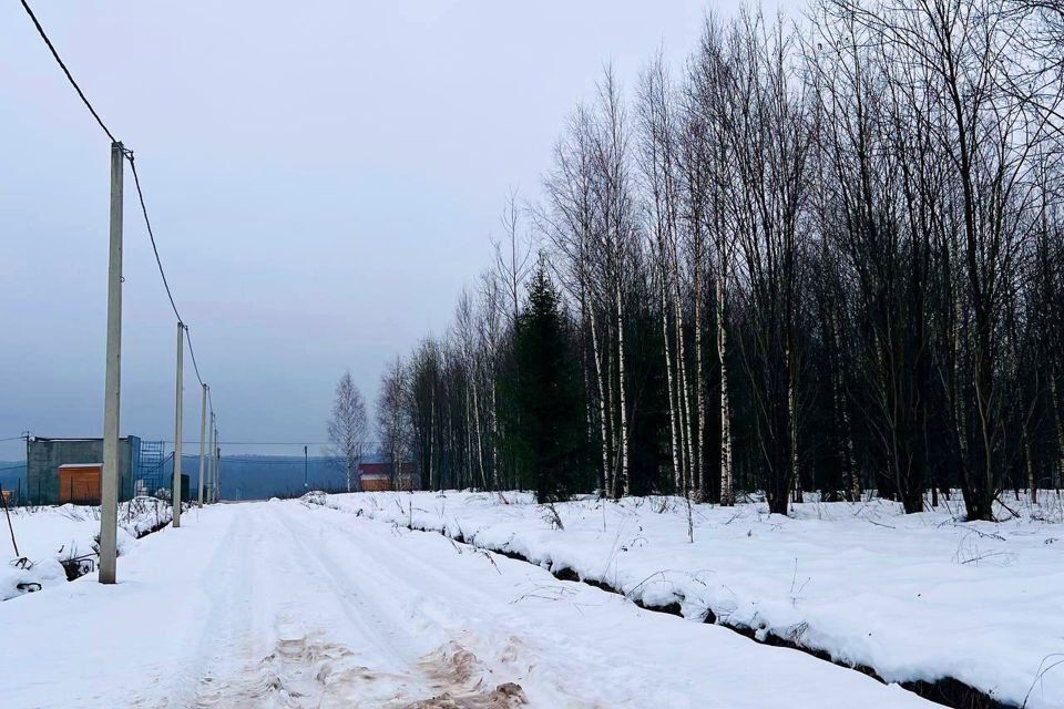 земля городской округ Сергиево-Посадский х Шубино снт Природа 14 фото 6