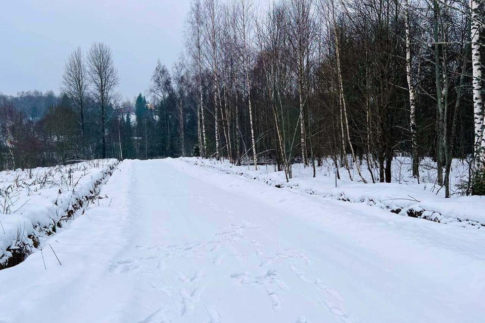 земля городской округ Дмитровский д. Ваньково фото 9