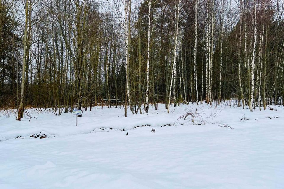 земля городской округ Дмитровский д. Ваньково фото 10