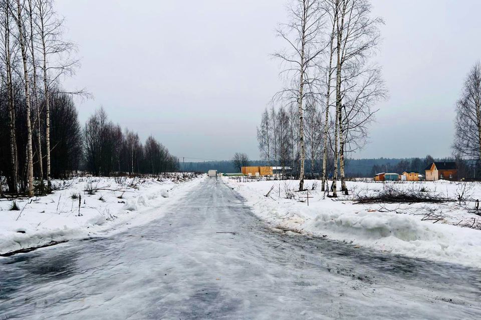 земля городской округ Сергиево-Посадский х Шубино снт Природа 14 фото 7