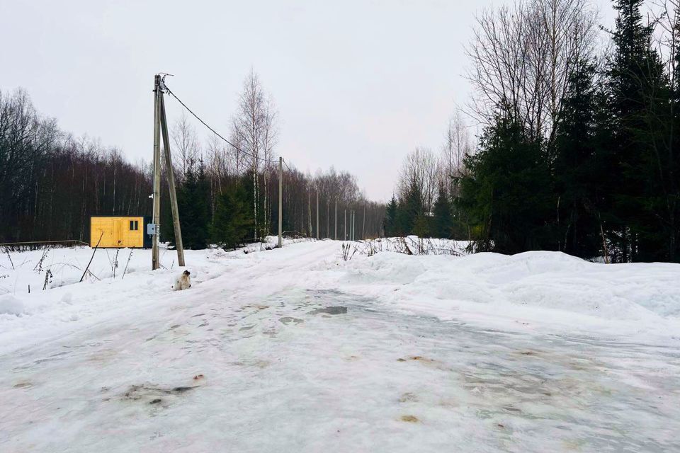 земля городской округ Сергиево-Посадский х Шубино снт Природа 14 фото 8