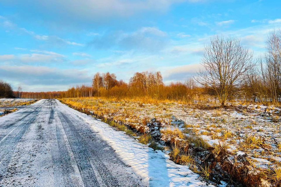 земля городской округ Раменский д Васильево 19а фото 7