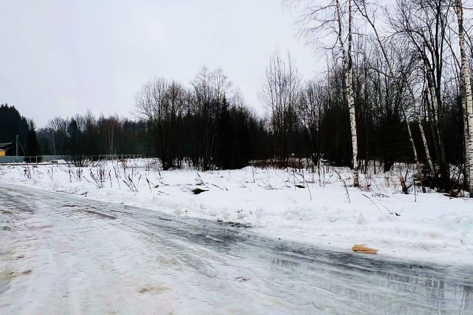 земля городской округ Сергиево-Посадский х Шубино снт Природа 14 фото 9