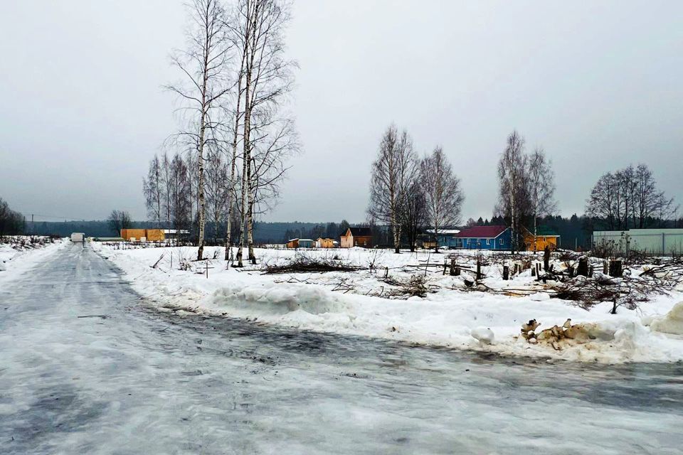 земля городской округ Сергиево-Посадский х Шубино снт Природа 14 фото 10