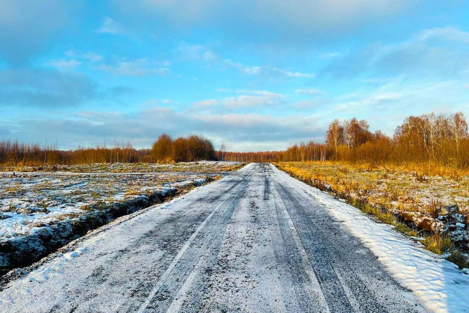 земля городской округ Раменский д Васильево 19а фото 8