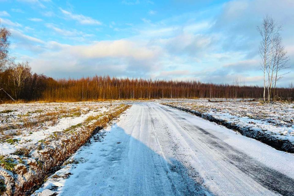 земля городской округ Раменский д Васильево 19а фото 9