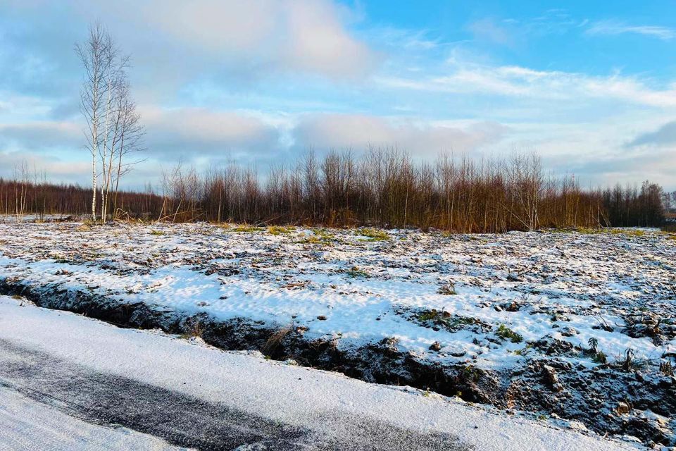 земля городской округ Раменский д Васильево 19а фото 10