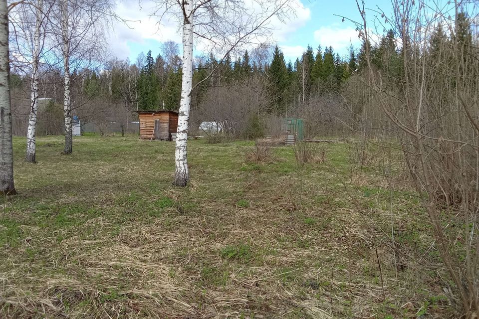 земля городской округ Талдомский СНТ Мечта фото 5