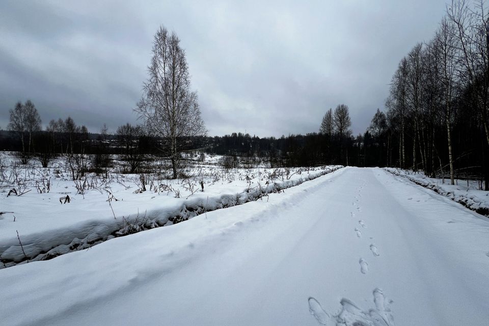 земля городской округ Дмитровский д Гришино 57 фото 6