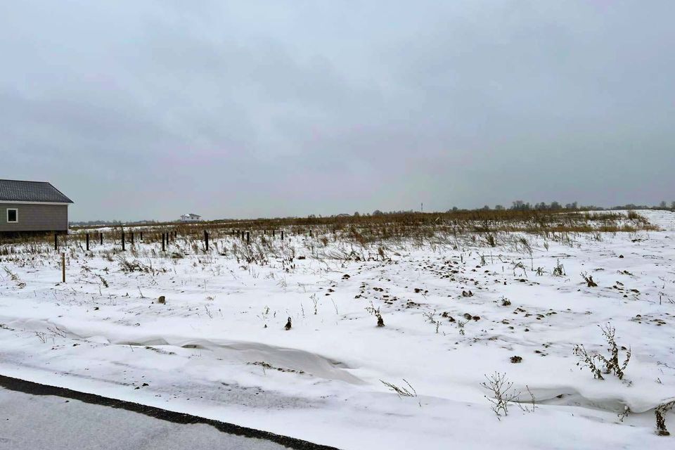 земля г Домодедово Домодедово городской округ, Кузьминский фото 5