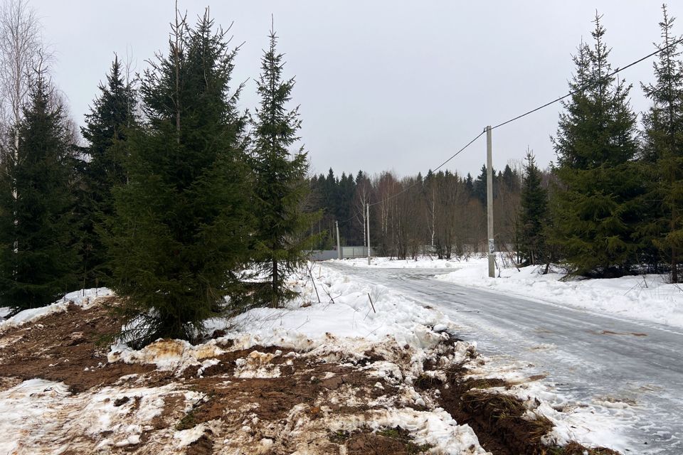 земля городской округ Сергиево-Посадский х Шубино снт Машиностроитель 136 фото 6