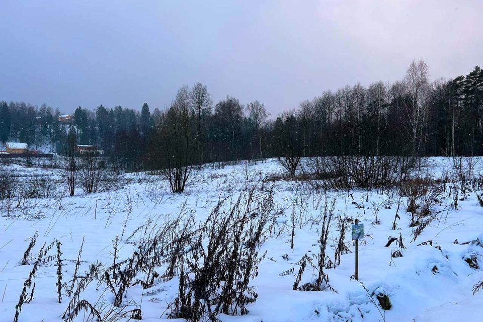 земля городской округ Дмитровский фото 9