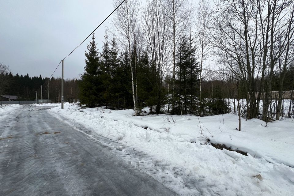 земля городской округ Сергиево-Посадский х Шубино снт Машиностроитель 136 фото 7