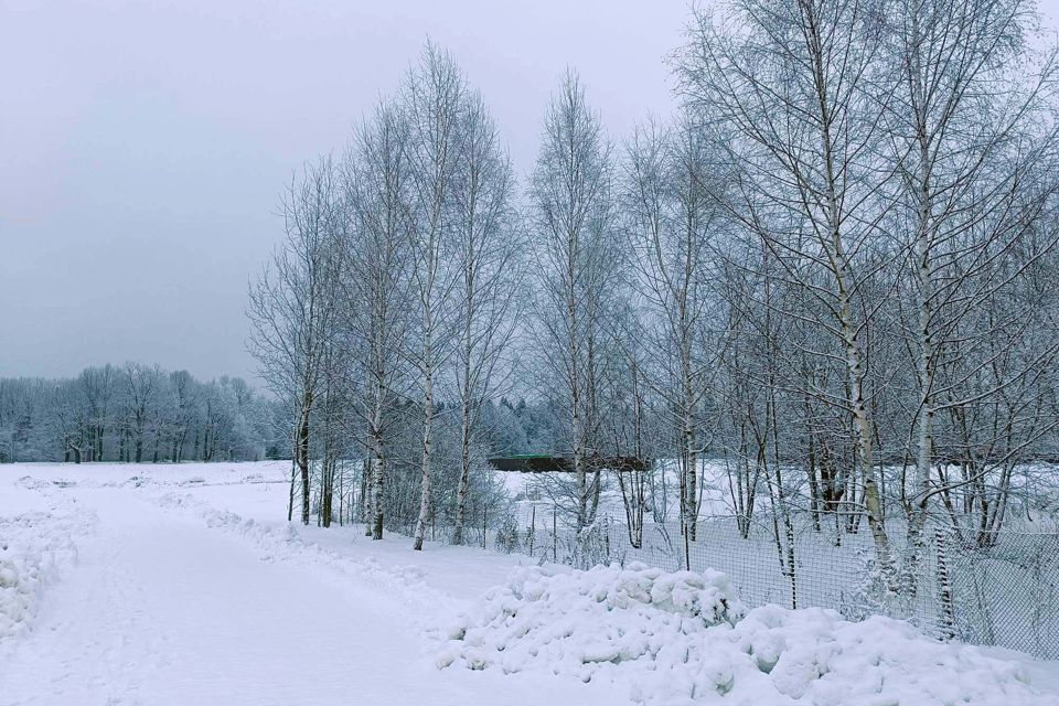 земля городской округ Пушкинский д Василёво 76 фото 7