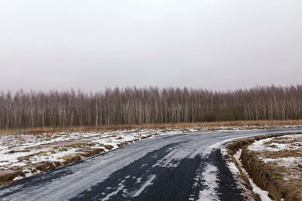 земля городской округ Раменский д. Бритово фото 5