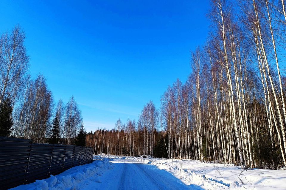 земля городской округ Сергиево-Посадский с. Бужаниново фото 9