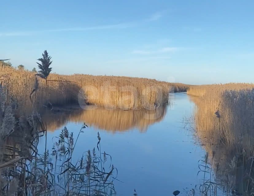 земля р-н Ломоносовский д. Чёрная Лахта фото 5