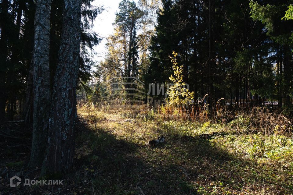 земля городской округ Красногорск СК Липка фото 7